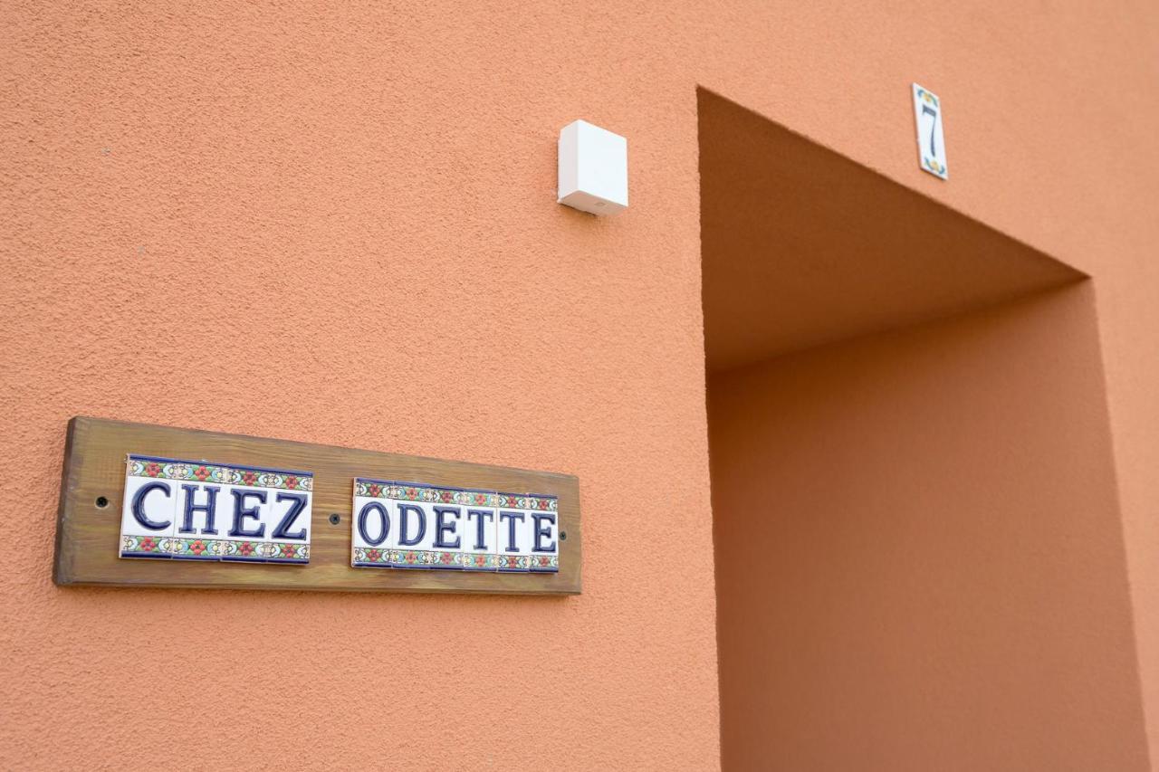 Chez Odette - Spa, Plancha, Parking 알비 외부 사진
